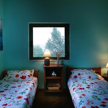 Apartment Tritsili House *