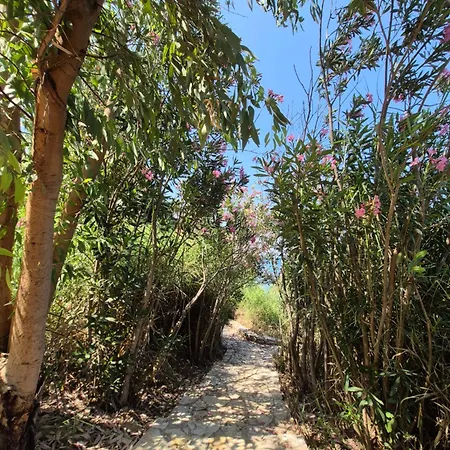 Apartment Tritsili House