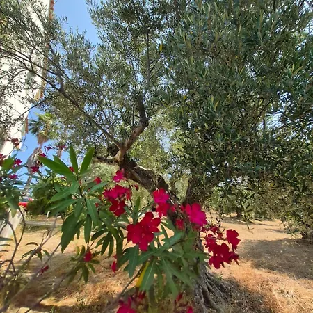 Apartment Tritsili House Koróni