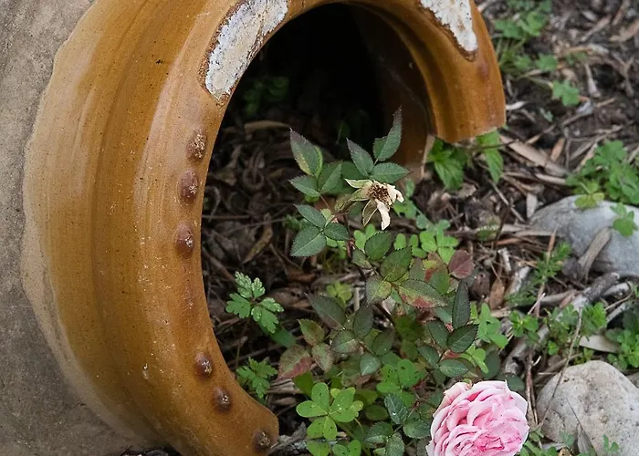 Apartmán Tritsili House Koróni