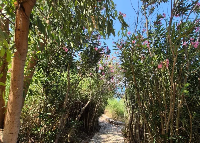 Apartmán Tritsili House