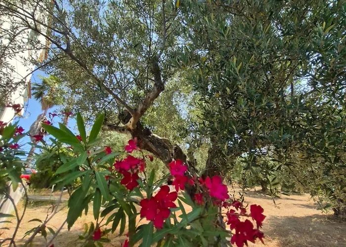 Apartmán Tritsili House Koróni