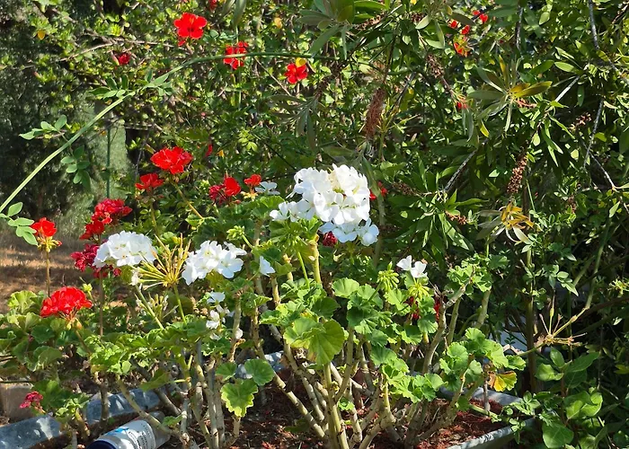 Tritsili House Apartmán